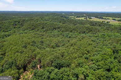 111 + - Acres Off Slate Mine Rd, Fairmount, GA 30139 - photo 5