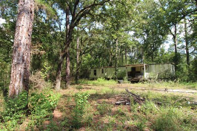 51 Ramblewood Rd, Crawfordville, FL 32327 - photo 6