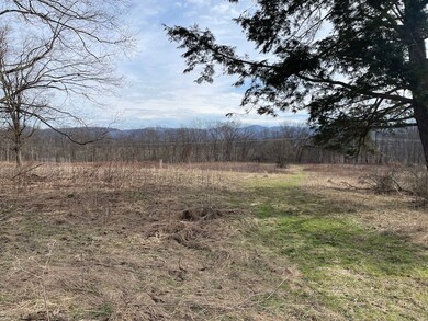 Cr 21 unit lot WP001, Elkins, WV 26241 - photo 5