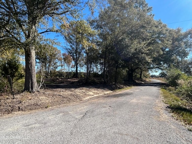 No Warren Cook Rd, Mendenhall, MS 39114 - photo 2