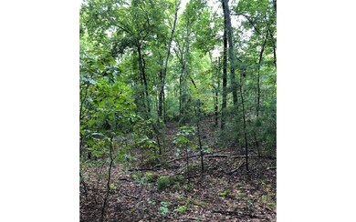 Additional View