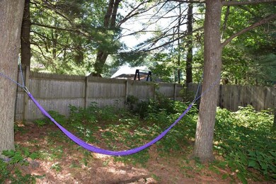 Corner of back yard showing fence...