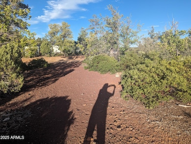 922 Old Settler Trail unit 390, Linden, AZ 85901 - photo 7