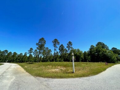 00 Hidden Hills Dr, Vidalia, GA 30474 - photo 3