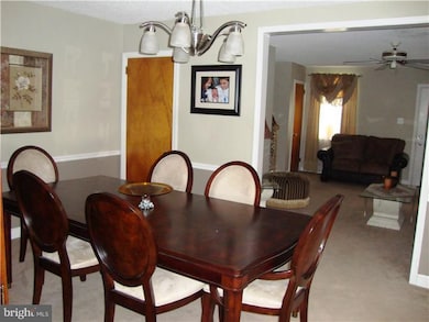 423 Alexander Ave, Drexel Hill, PA 19026 - photo 7