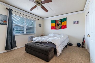 photo-7
