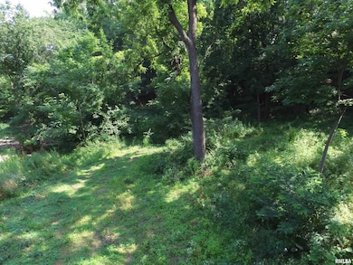 1004 34th Ave, Moline, IL 61265 - photo 6