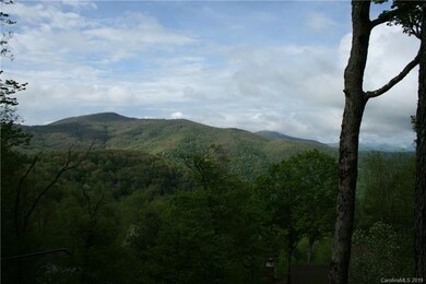 787 Overlook Dr unit 37, Mars Hill, NC 28754 - photo 2