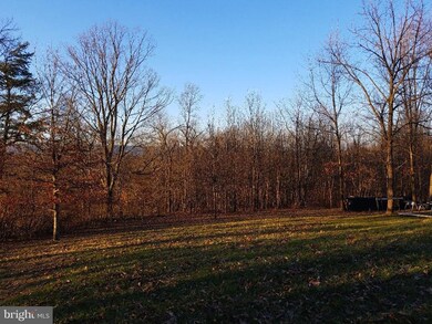 11906 Winchester Grade Rd, Berkeley Springs, WV 25411 - photo 2