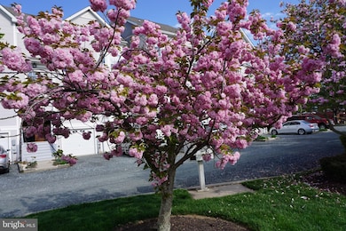 313 Red Head Way unit A, Havre de Grace, MD 21078 - photo 2