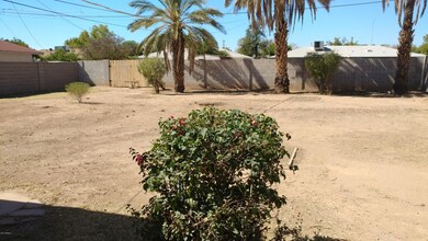 Bakyard