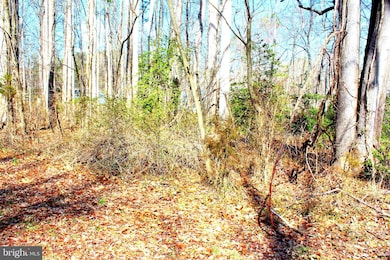 0 Scott Cir unit MDSM2027260, Mechanicsville, MD 20659 - photo 7