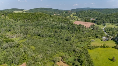 0 Cummiskey Rd, New Albany, PA 18833 - photo 5