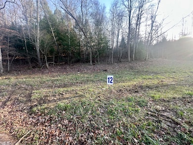 Lot 12 Hensley Rd, East Bernstadt, KY 40729 - photo 5