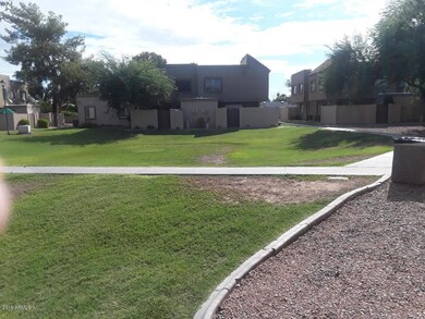 grass area