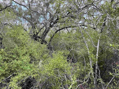 0 Cr 406 (E Off Of) unit County Road 406, Falfurrias, TX 78355 - photo 7