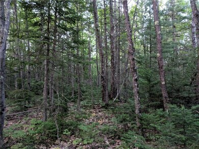 M5L5A Cedar Pond Rd, Durham, ME 04222 - photo 6