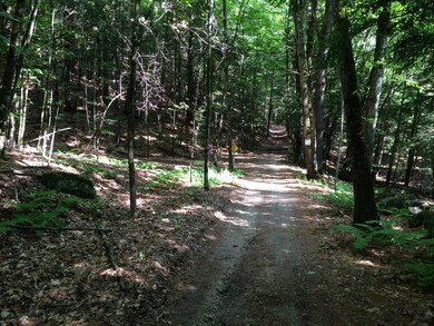 0 Sulphur Hill Rd unit 4507259, Hillsborough, NH 03244 - photo 4