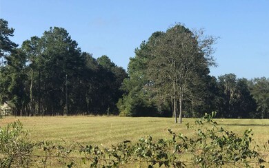 5976 Lake Jeffrey Rd, Lake City, FL 32055 - photo 4