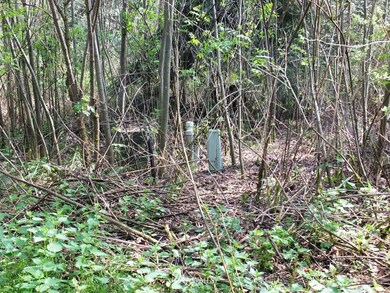 unlisted-address, Stanwood, WA 98292 - photo 4