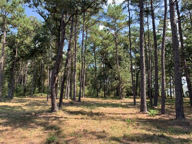 25692 Joseph Rd, Hockley, TX 77447 - photo 5