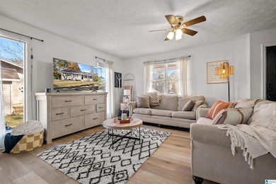 63 Ember Ln, Ohatchee, AL 36271 - photo 3