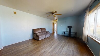 707 E North Line Rd, Tuscola, IL 61953 - photo 3