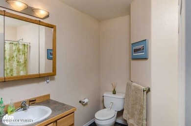 4799 N Doty Cir Wasilla AK-small-001-Bat