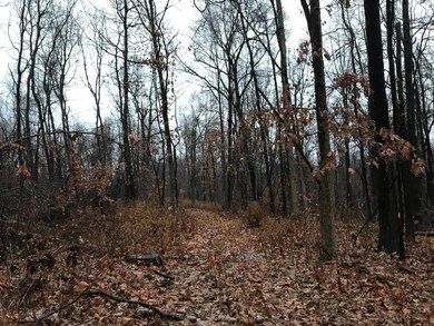 19312 Township Rd 284, Coshocton, OH 43812 - photo 6