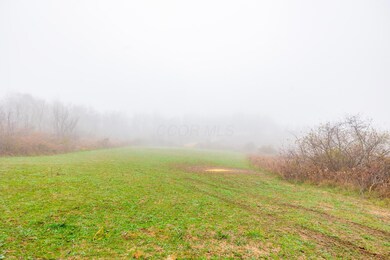 153 County Road 3, Mount Pleasant Township, OH 43943 - photo 7