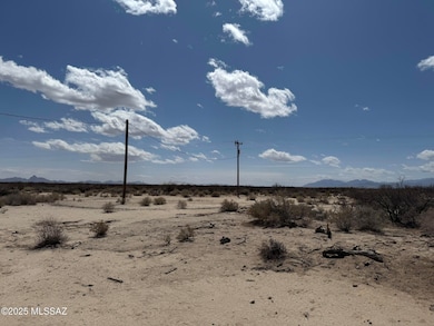 80 Acres Parker Rd, San Simon, AZ 85632 - photo 6