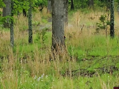 6537 Mount Calm Rd, Gepp, AR 72538 - photo 7