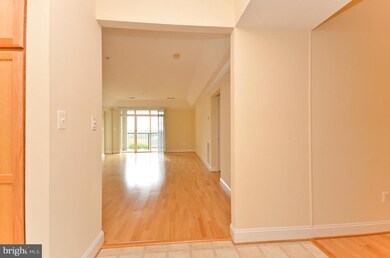 5930 Great Star Dr unit 404, Clarksville, MD 21029 - photo 6