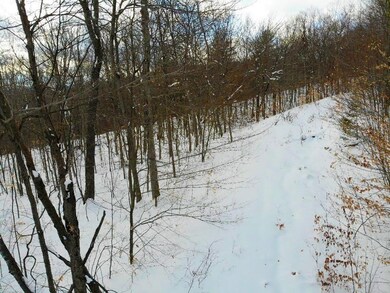 0 Cushing Rd, Hartford, VT 05001 - photo 7