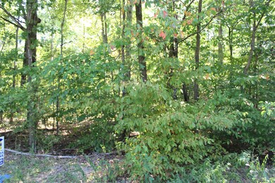 1 Hurricane Church Rd, Stewart, TN 37175 - photo 5