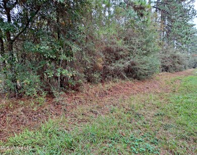 0 1 Acre Hwy 612, Lucedale, MS 39452 - photo 2