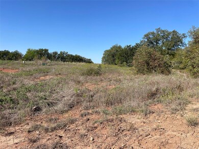 149 Paradise Oaks Ct, Paradise, TX 76073 - photo 4