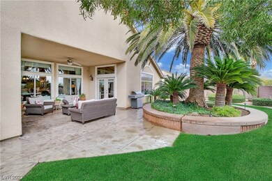 Backyard covered patio & gorgeous palm