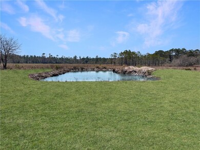Pond