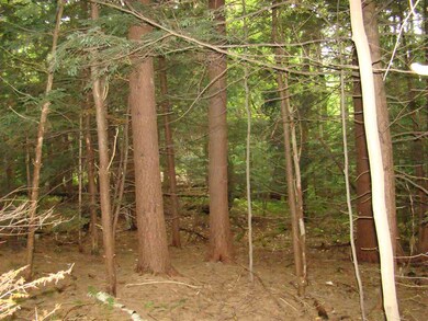 0 Chapel Hill Rd unit 58-49 4715081, Whitingham, VT 05361 - photo 3