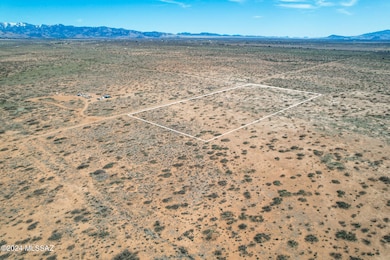 catclaw5acres-14-lines