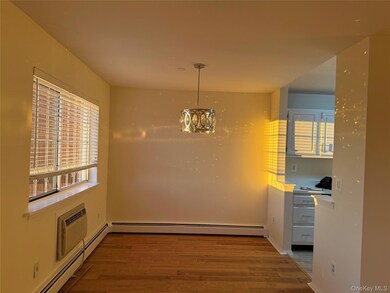 Copper Beech unit 1-25, White Plains, NY 10601 - photo 6