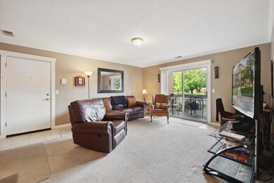 10-46063-Tallgrass-Ct-Belleville-MI-4811