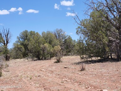 Lot 55 Juniperwood Ranch, Ash Fork, AZ 86320 - photo 4