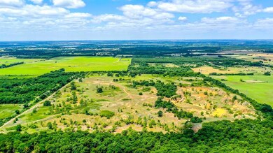 3504 Temple Hall Hwy, Granbury, TX 76049 - photo 5