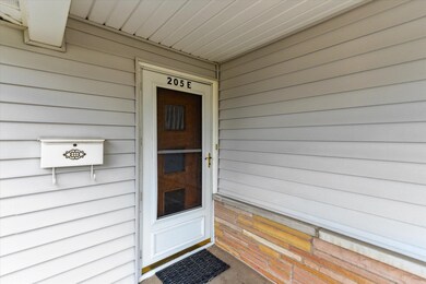05-205-Michigan-St-E-Three-Oaks-MI-49128