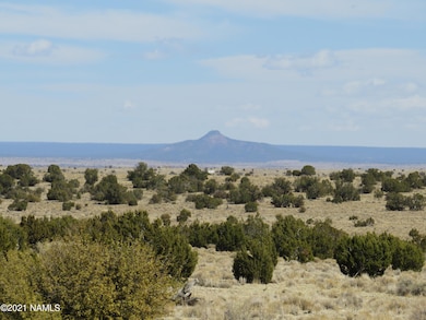 10424 W Line Cook Trail, Williams, AZ 86046 - photo 6