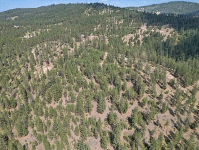 NKA Weaver Way unit Lot D of Lot 6, Deer Park, WA 99006 - photo 5