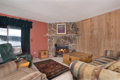 Living Room Gas Fire Place with Wall Thermostat
