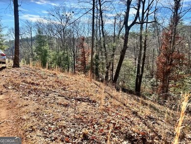 0 Corinth Church Rd unit 10656398, Cleveland, GA 30528 - photo 5